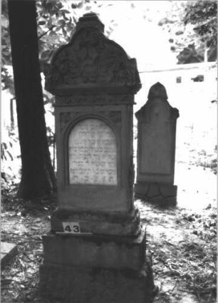Grabstein 43 (Index: 99898767) Material: Sandstein Zustand: stark verwittert Maße HxBxT: 132x54x24 cm Beschreibung: aufgesockelte Stele, oben abgeflachter, überkragender Giebelaufsatz, darunter Blütenfries, Schriftfeld durch Zackenfries gerahmt, Sockel felsartig gearbeitet Symbolik: Blüten-, Zackenfries: Grabstein 43