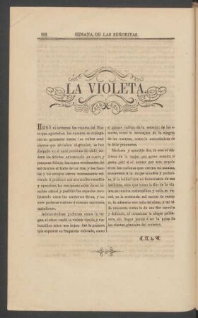 La violeta.