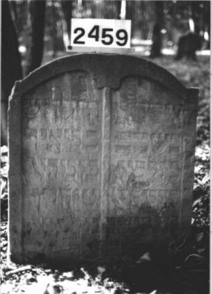 Grabstein 2459