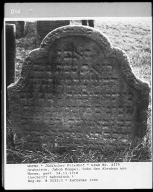Grabstein von Jakob Koppel, Sohn des Abraham aus Worms (+ 1718.11.24)