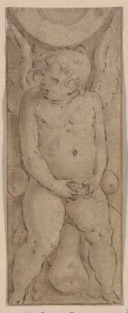 Putto