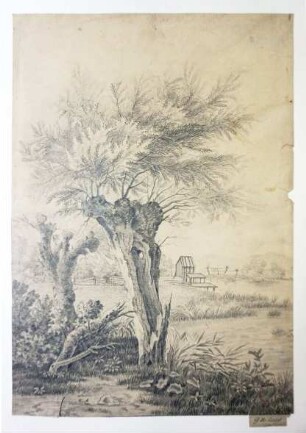 Georg Maria Eckert: Alte Weide