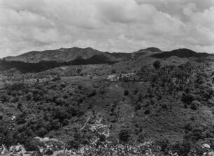 Hügellandschaft : Blick über eine Hügellandschaft in Kenia