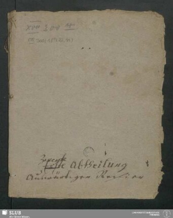 22,11: Zweyte Abtheilung Auswärtigen Refiere - XVII 300 8. (22,11)