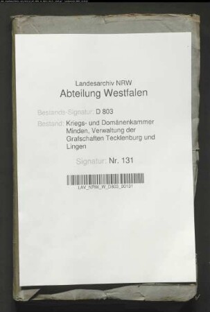 Haupt- und Spezialdomänenkassenetats von den Grafschaften Tecklenburg und Lingen