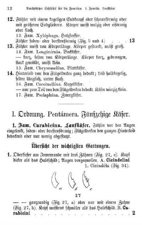 I. Ordnung, Pentámera. Fünfzehige Käfer