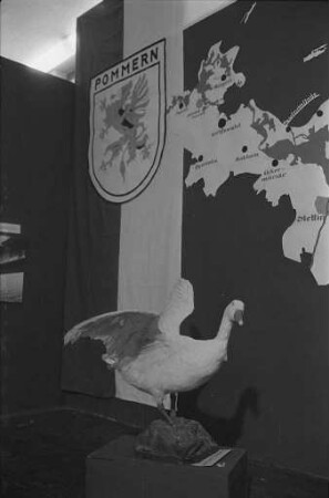 Ausstellung "Kleingarten - Siedlung - Landwirtschaft" am Festplatz mit Heimatschau des Bundes der Vertriebenen.
