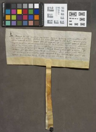 Friedberg: Ludwigs IV. Privileg über den Turm an der Burg Friedberg