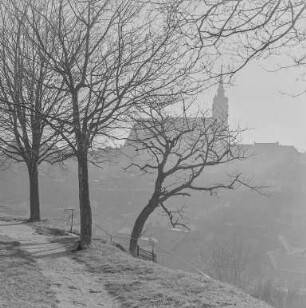 Bautzen Nordseite ohne Schnee : Bautzen. Blick auf die Stadt mit Dom St. Petri