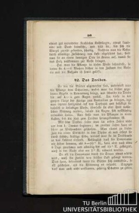 42. Das Treiben.