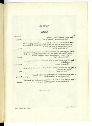 Tafel 80.