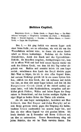 Drittes Capitel - Burgruinen-Creek. . Zamia-Creek. - Bigge's Berg.