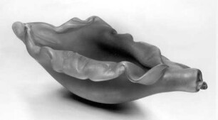 Muschelschale