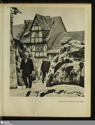 In den Sandsteinklippen des Schloßberges