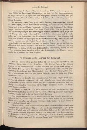 C. Structura cordis. Aufbau der Herzwand.