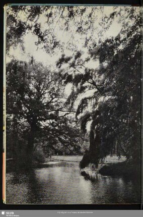 64 Im Wörlitzer Park