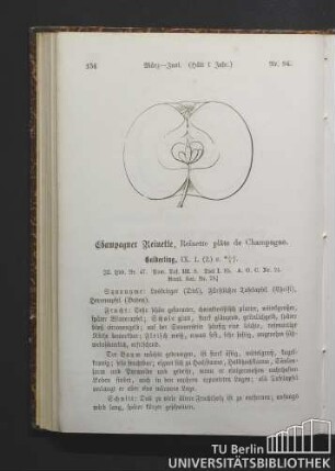 Nr. 94. Champagner Reinette, Reinette plâte de Champagne.