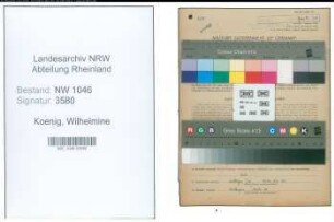 Entnazifizierung Wilhelmine Koenig , geb. 26.10.1905 (Einzelhaendlerin)