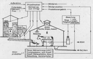 Prozessoptimierung der Milchproduktion