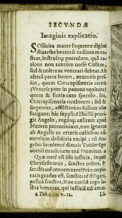 Secundæ Imaginis explicatio.