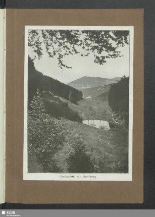 Rimbachtal mit Domberg
