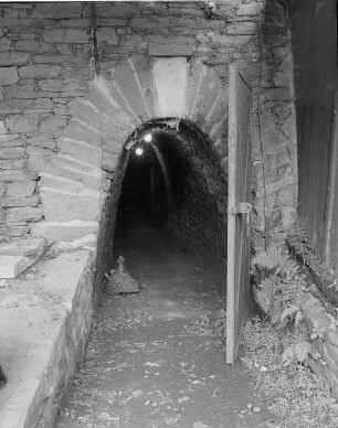 Wäschenrösche, Mundloch, Zeche Kurprinz, Großschirma