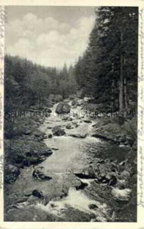 Ansicht aus dem Gottleubatal (Erzgebirge)
