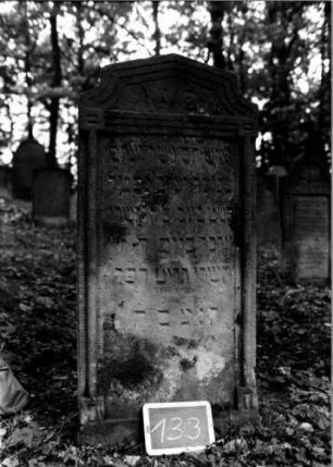 Grabstein 133 [Nir S. 113 Nr. 11.28]