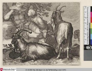 [Ziegen und Schafe, im Hintergrund ein Hirte mit seiner Geliebten; Pastoral Scene with Goats]