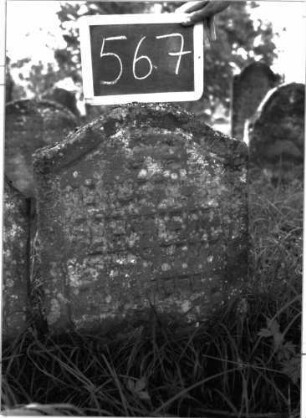 Grabstein 567 (Index: 100102494) Material: Sandstein Zustand: stark verwittert, eingesunken, weitgehender Textverlust Maße HxBxT: 62x46x7 cm Beschreibung: Stele, Konvexbogenabschluss, Schriftfeld eingetieft: Grabstein 567