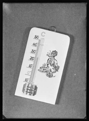 Thermometer (daneben gezeichnete Ente in Kleidung)