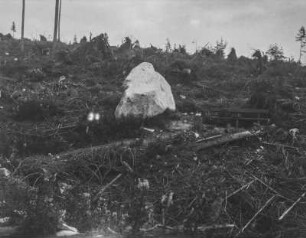 Findling im gerodeten Wald : Findling mit Inschrift in einem gerodeten Wald. Neben dem Findling eine Bank