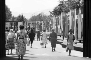Zürich: die Linie, Wandbilder