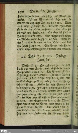 44. Das Colchicum. Nackige Jungfer