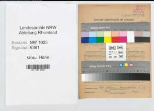 Entnazifizierung Hans Grau , geb. 16.03.1902 (Steuerinspektor)