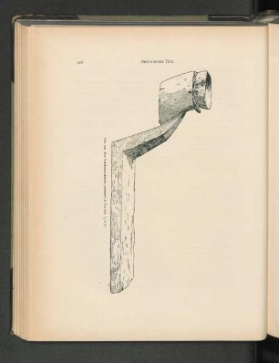 Abb. 204 Der Pandanusschaber, eranenor. S. Na. 156. 1/2 w. G.