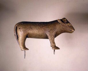Rind (Stier)