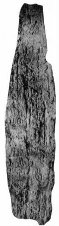 Naachtun, Stela 15 (NCT: St. 15)