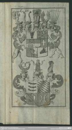 Fig. LX. - LXI.