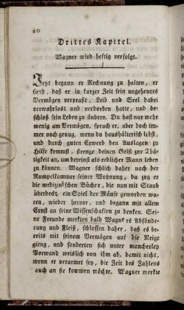 Drittes Kapitel. Wagner wird heftig verfolgt.