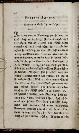 Drittes Kapitel. Wagner wird heftig verfolgt.