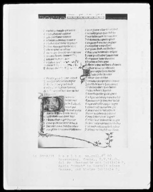 Roman de la Rose & Rosenroman — Initiale P (ourete), darin die Armut in Gestalt eines Mannes, Folio 4verso