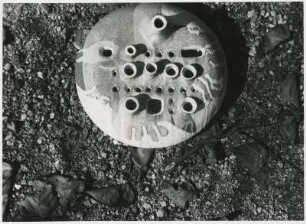 Blumenstecker von Klaus Schultze