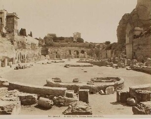 Der Palatin, Überreste der Arena, Rom