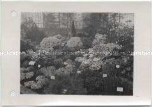 Hamburg, Internationale Gartenausstellung (IGA) 1973, Erste Hallenschau
