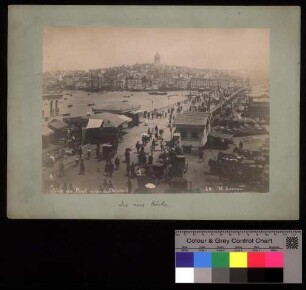 Vue du Pont prise de Stamboul