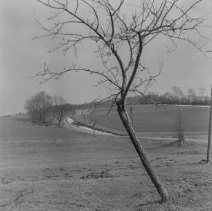 Frühlingsbilder : Oberlausitz. Landschaft