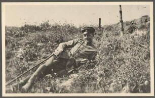 Hoffmeister, Alfred, Dr.