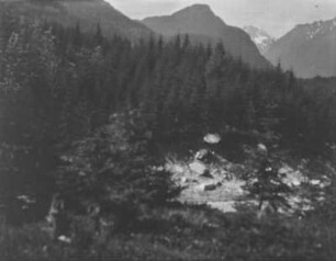 Wald : Blick auf bewaldete Berghänge