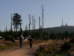 Brockenplateau im Harz (rechts), abgestorbene Nadelbäume im Nationalpark Hochharz